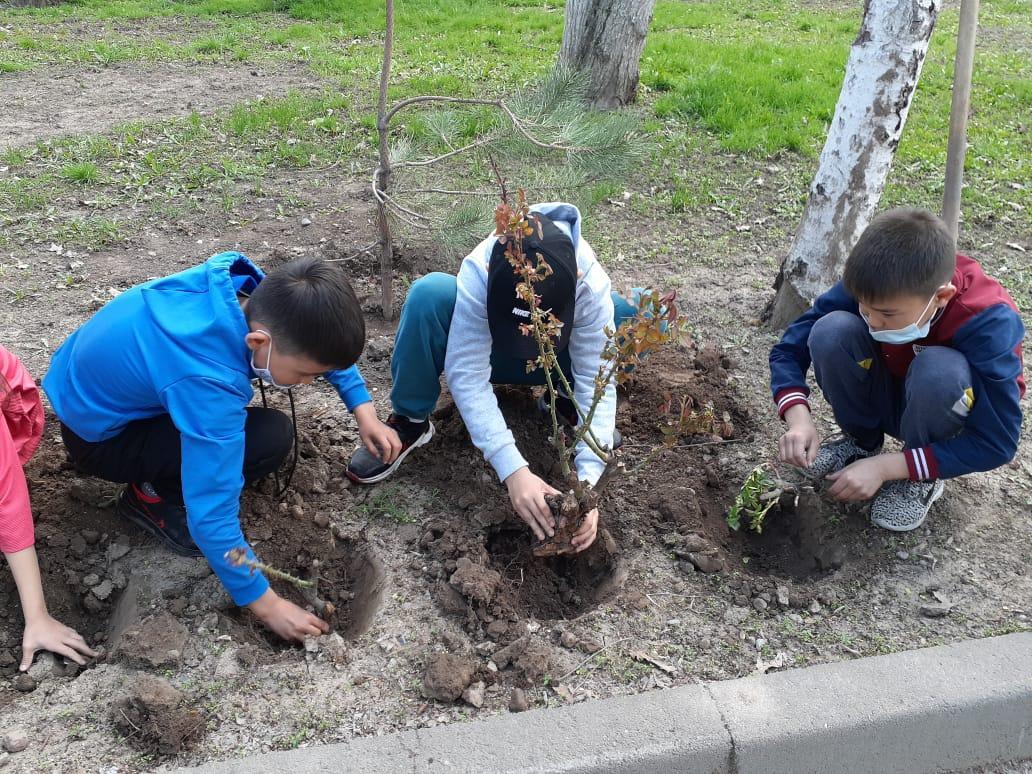 Табиғатқа қамқорлық және мекеме ауласын көгалдандыру